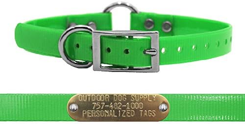Waterproof D & Center Ring Dog Collar w Custom Name Tag 3/4x15, Lime Green