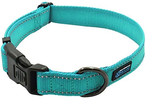 Max and Neo™ NEO Nylon Buckle Reflective Dog Collar - We Donate a Collar to a Dog Rescue for Every Collar Sold (Medium, Teal)