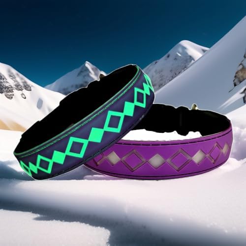 Personalized Flashing Dog Collar with Laser Engraved ID Tag