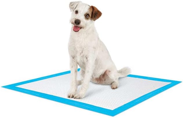 So Phresh by Petco Large Leak Guard Quilted Potty Pads Count of 100