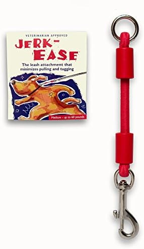 BUNGEE DOG LEASH EXTENSION – Patented Shock Absorber Attachment Protects You and Your Dogs – Works with ANY Leash & Collar or Harness – a MUST for Retractable Leashes – PICK SIZE/COLOR BELOW