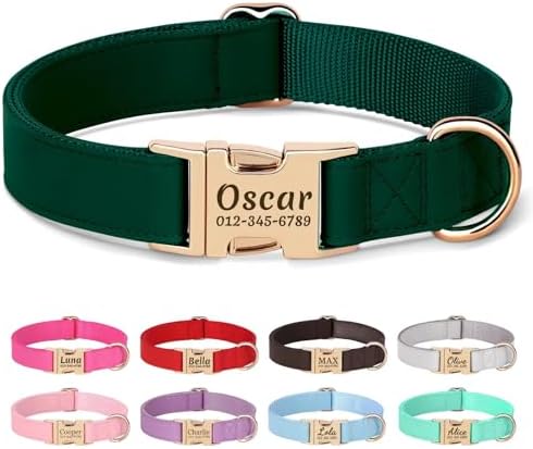 PET ARTIST Personalized Dog Collars, Custom Dog Collar with Engraved Silent Name Tag, Gold Quick Released Buckle & Soft Nylon Padded, Elegant Colors & Matching Leash for Small Dogs,Green,S Fit 9-14"
