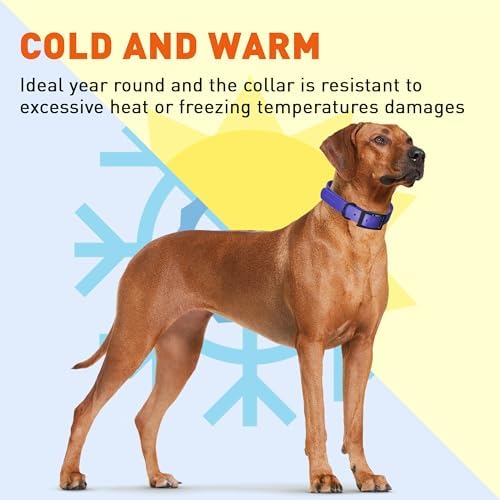 Dogline Biothane Waterproof Dog Collar Strong Coated Nylon Webbing with Black Hardware Odor- Proof for Easy Care Easy to Clean High Performance Fits Small Medium or Large Dogs, Blueberry Royal