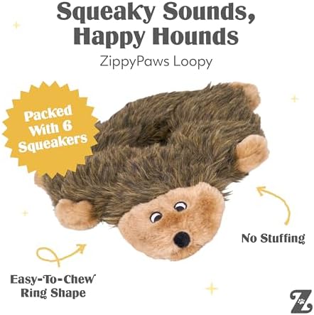 ZippyPaws Loopy No Stuffing Dog Toys to Keep Them Busy - 10"