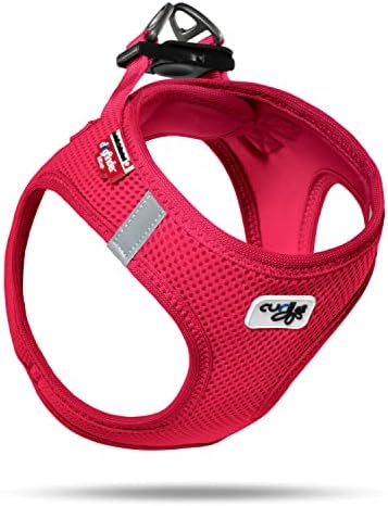 Curli Vest Harness Air-Mesh Skyblue S