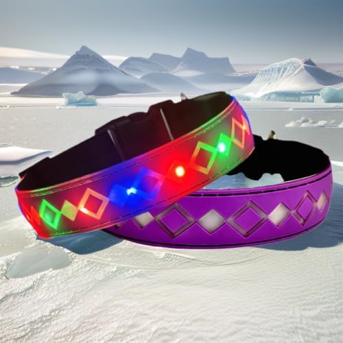 Personalized Flashing Dog Collar with Laser Engraved ID Tag