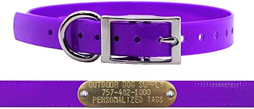 Light Weight Waterproof D-Ring Dog Collar w Custom Name Tag, Purple