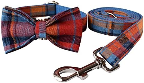 Custom Dog Collar with Names and Phone Number Engraved, Puppy Tags Personalized for Small Medium Large Pets