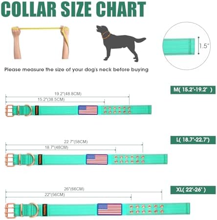 Heavy Duty Dog Collar for Medium Large Dogs,Teal,Large
