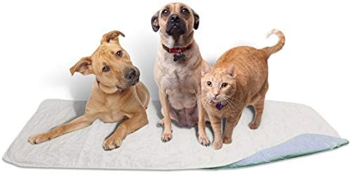 Careoutfit 36 x 72 - XXL Big Size Premium Waterproof Reusable/Quilted Washable Large Dog/Puppy Training Travel Pee Pads (Green)