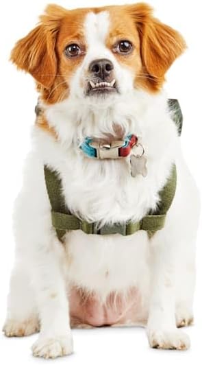 Reddy Camo Canvas Dog Backpack, Small/Medium