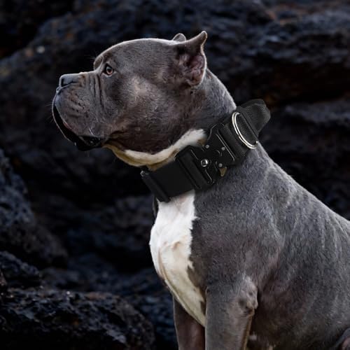 Tactical Dog Collar with Handle (Black, L)