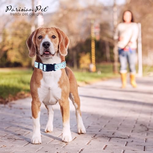 Parisian Pet Blue Sailboat Dog Collar - Adjustable Nautical Pet Collar with Secure Buckle and Metal D-Ring - Comfortable Designer Puppy Collars - Durable Nylon Dog Collars for Small Dogs