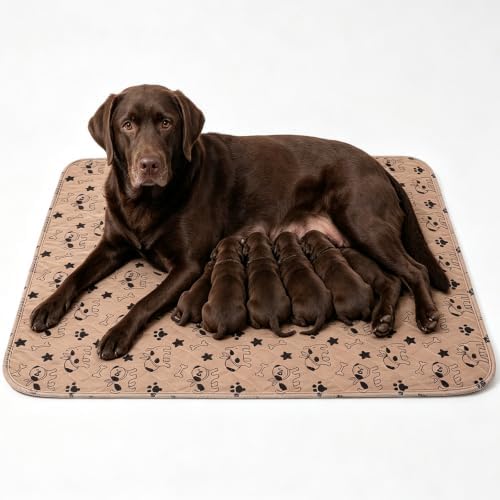 Puppy Pee Pads with Pheromones Reusable Puppy Potty Pads for Dogs Washable Puppy Pee Pads for Cats Leakproof & Odor Control Non-Slip Puppy Training Pads for Home Travel Brown L