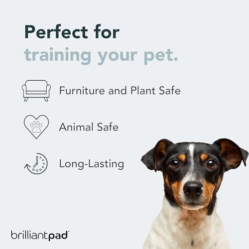 BrilliantPad No No! Bitter Chew Deterrent Spray for Dogs & Puppies (4oz)
