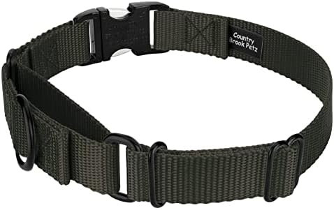 Country Brook Petz - Martingale Dog Collar Heavy Duty Nylon Adjustable Martingale Dog Collar with Metal Buckle for Small Medium Large Breeds 30+ Color Options (5/8 Inch, Extra Small, Dark Olive Drab)