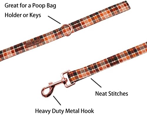 Lionet Paws Dog Leash for Small Dogs, Orange, Blue, 4.4ft (135cm), Snap Closure