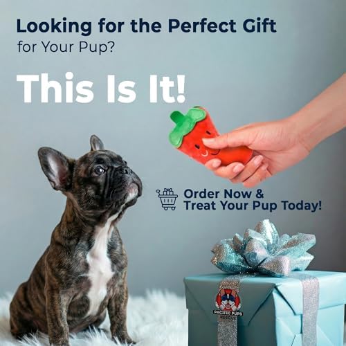 Pacific Pups Products 9-Pack Dog Toys for Small & Medium Dogs – Puppy Toys Set with Rope Toys, Chew Toys, Tug Toys, Plush & Squeaky Toys – Dog Toy Variety Pack
