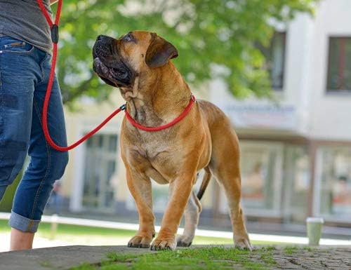 HUNTER Freestyle Retriever Leash, 8 mm Diameter x 170 cm Length, Grey