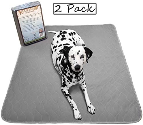 Washable Pee Pads for Dogs | Non-Slip Quick Dry| Fast Absorbing Wee Mat for Playpen Housebreaking Indoor Potty Training Whelping Incontinence Travel (2-Pack 36x41in, Grey Extra Padded)