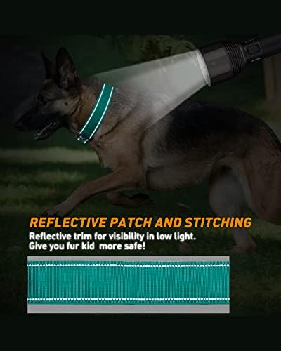 AUBELL Reflective Tactical Heavy Duty Dog Collar with Handle,Teal L