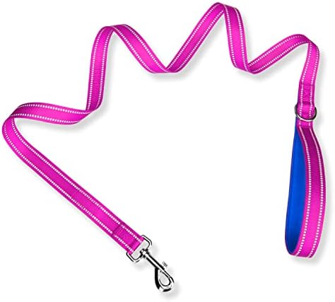PHOEPET 5 Feet Dog Leash - Dual-Side Reflective - Soft Padded Handle