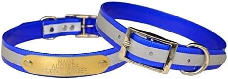 Reflective Dayglo Dog Collar Free Engraved Brass ID tag USA (Blue 23")