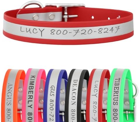 dogIDs Personalized Reflective Waterproof Dog Collar - Custom, Durable, Adjustable, Odor Resistant, Safe, Engraved - Red, 1 in x 20 in (Fits Neck Sizes: 18-22 in)