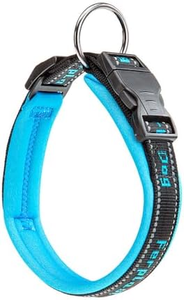 Ferplast Dog Collar Sport Dog, Large Reflective Nylon Collar with Soft Padding, Pet Name Tag, Size: 2.5 cm (35-45 cm), Blue