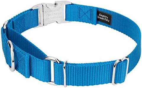 Country Brook Petz - Martingale Dog Collar - Heavy Duty Nylon Adjustable Martingale Dog Collar with Metal Buckle for Small Medium Large Breeds - 30+ Color Options (5/8 Inch, Extra Small, Ice Blue)