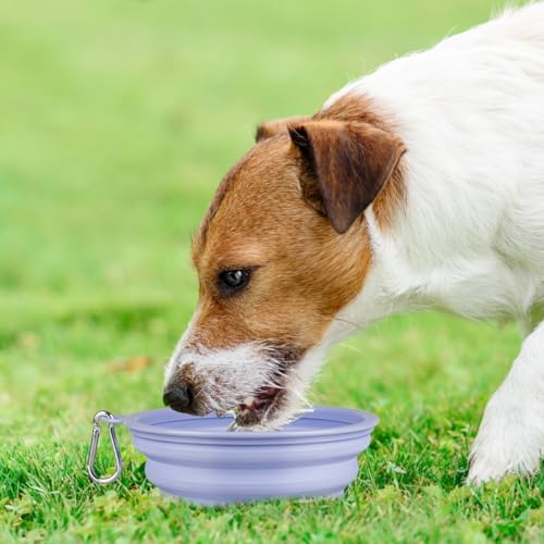 Kytely Collapsible Dog Bowls Medium, 2Pack Foldable Dog Travel Bowl, Portable Pet Water Food Bowl with Clasp, Pet Cat Feeding Cup Dish for Traveling, Walking, Hiking (Lavender & Pink)