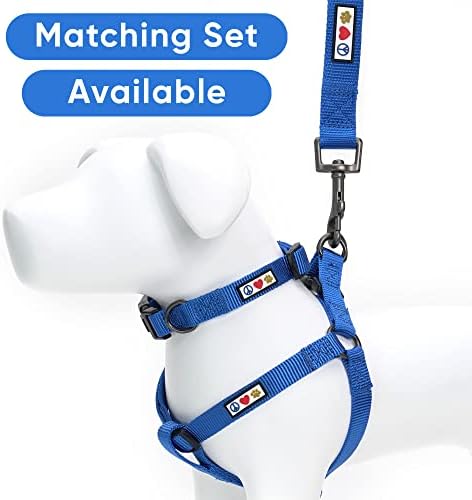 Pawtitas Personalized 6 ft Blue Dog Leash XS/S Custom Name and Phone Embroidery Strong Nylon Leash for Small Breeds