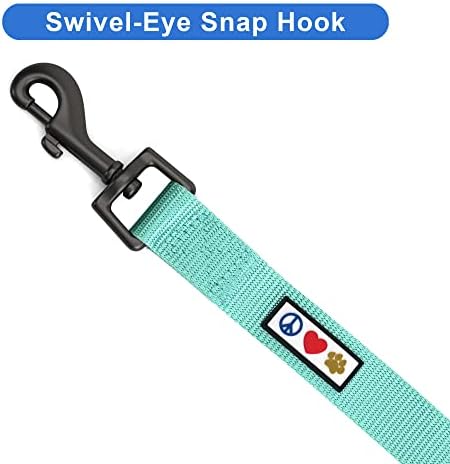 Pawtitas Solid 6 ft Teal Dog Leash XS/S Custom Name and Phone Embroidery Strong Nylon Leash for Small Breeds