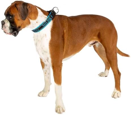 Ferplast dog Collar SPORT dog, Reflective Nylon Collar for Large Pets, Soft Padding, Pet Name Tag, Size: 2.5 cm (45-55 cm), Blue