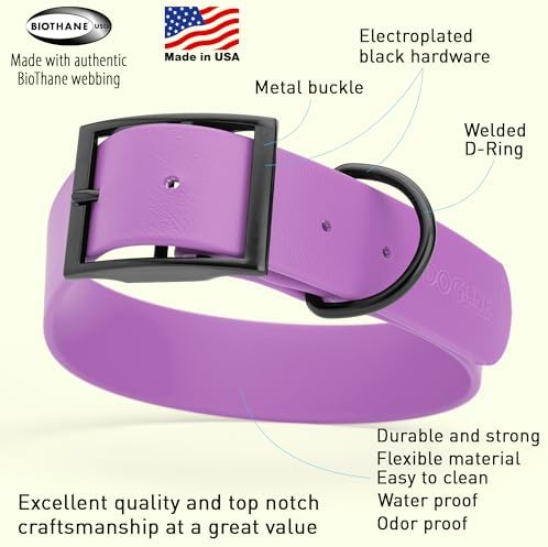 Dogline Biothane Waterproof Dog Collar Strong Coated Nylon Webbing with Black Hardware Odor- Proof for Easy Care Easy to Clean High Performance Fits Small Medium or Large Dogs, Amethyst Purple