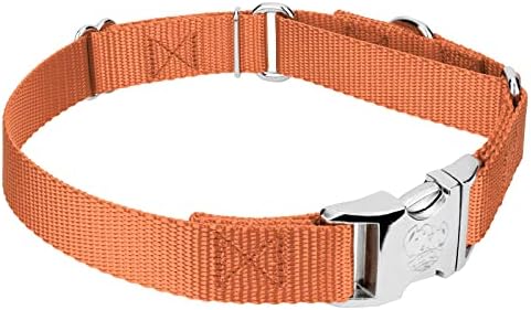 Country Brook Petz - Martingale Dog Collar - Heavy Duty Nylon Adjustable Martingale Dog Collar with Metal Buckle for Small Medium Large Breeds - 30+ Color Options (3/4 Inch, Small, Coral)