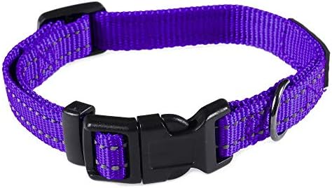 Max and Neo NEO Nylon Buckle Reflective Dog Collar - We Donate a Collar to a Dog Rescue for Every Collar Sold (X-Small, Purple)