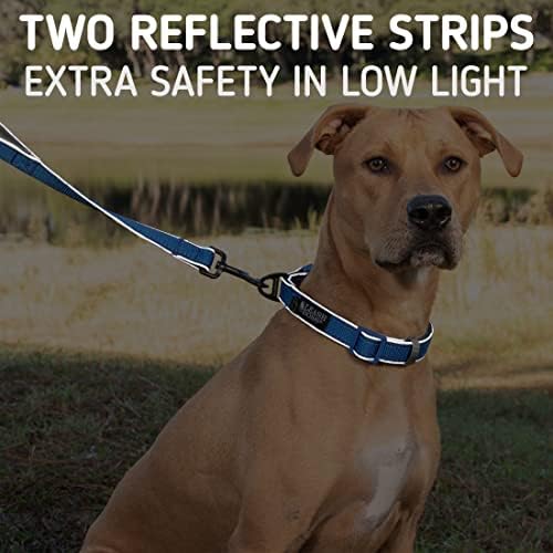 Leashboss 6ft Ultra Comfort Double-Thick Soft Padded Handle Reflective Leash for Large, Medium, and Small Dogs/Puppies | Heavy Duty Nylon
