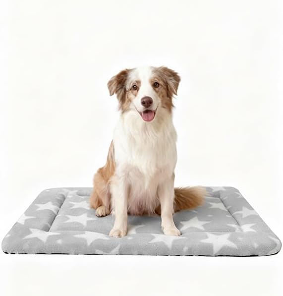 Dog Bed Mat, Reversible Dog Crate Pad with Washable Kennel Mat and Soft Foam, Pet Bed for Dogs & Cats, for Crates Carriers & Travel(Big&Small Stars Grey, 35" L*23" W*1.5" Th)
