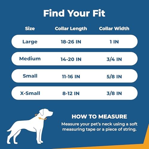 GoTags Reflective Dog Collar with Personalized Nameplate, Collar Tag Combo