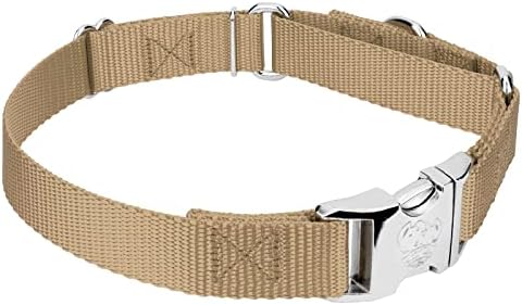 Country Brook Petz - Martingale Dog Collar - Heavy Duty Nylon Adjustable Martingale Dog Collar with Metal Buckle for Small Medium Large Breeds - 30+ Color Options (1 Inch, Medium, Copper Gold)