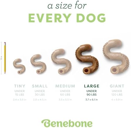 Benebone Tripe Bone Durable Dog Chew Toy for Aggressive Chewers, Real Tripe, Made in USA, Large (Pack of 2)