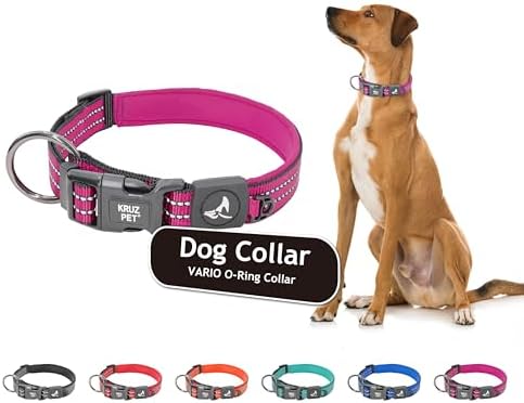 Kruz Dog Collar for Large Dogs (Width - 1", Length - 21"-25") Reflective Adjustable Pet Neck Band with Soft Padding, Heavy-Duty O-Ring, 100% Nylon Strap (Rasoberry Pink, Large)