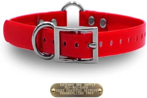 Heavy Duty Waterproof D & Center Ring Dog Collar w Custom Name Tag, Red