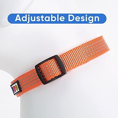 Pawtitas Reflective Dog Collar for X-Small Dogs – Adjustable Nylon Puppy Collar with Quick-Release Buckle | Fits Neck 8–13 in | Night Safety Training Collar | XS | Orange