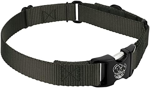Country Brook Petz - Martingale Dog Collar - Heavy Duty Nylon Adjustable Martingale Dog Collar with Metal Buckle for Small Medium Large Breeds 30+ Color Options (1 Inch, Large, Dark Olive Drab)