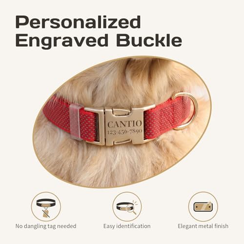 Custom Dog Collar with Name and Phone Number