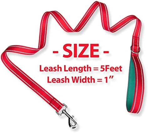 PHOEPET 5 Feet Dog Leash - Dual-Side Reflective - Soft Padded Handle