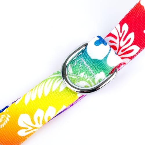 Country Brook Petz - Deluxe Hawaiian Rainbow Dog Leash - Summer Breeze Collection Featuring Sunny Designs (6 Foot, 5/8 Inch Wide)