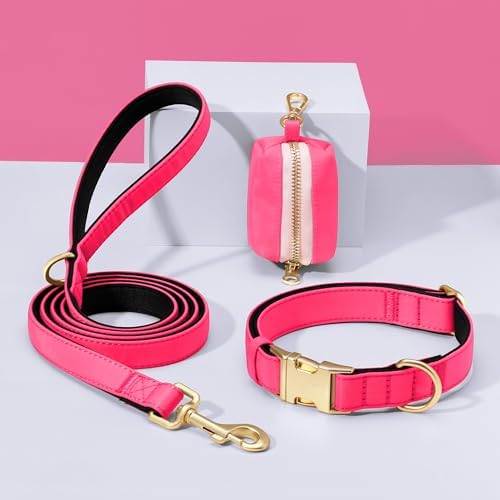 Didog Soft Padded Dog Collar for Medium Dogs, Neon Pink, M Neck 14-18"